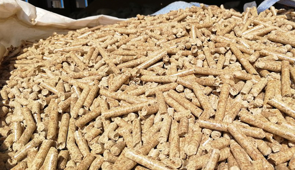 生態(tài)環(huán)境部回應(yīng)！生物質(zhì)成型燃料不是高污染燃料