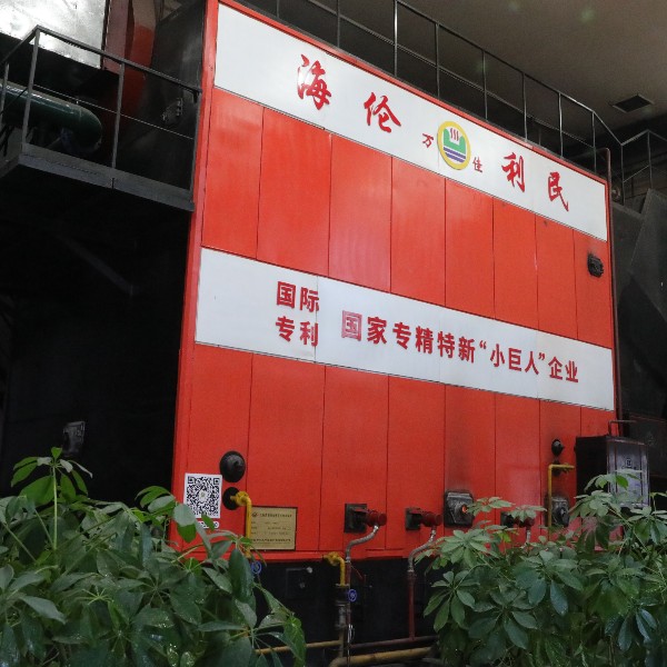 DZLS生物質(zhì)半氣化秸稈直燃捆燒鍋爐 DZLS生物質(zhì)半氣化秸稈直燃捆燒鍋爐