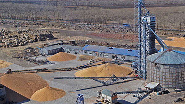 糧食烘干合作社如何做到年節(jié)省90萬元？利民萬佳鍋爐為您解析